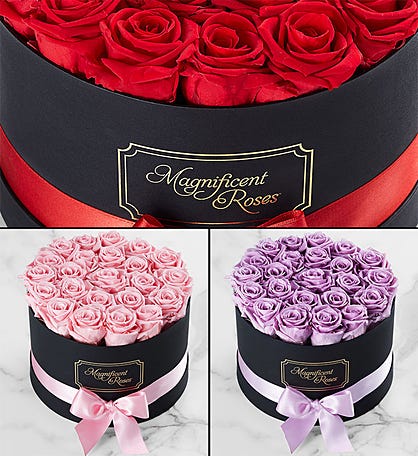 Magnificent Roses&reg; Preserved Roses